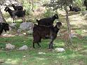 turkije2005 179